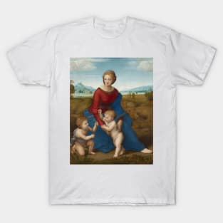 Madonna in the Meadow by Raphael T-Shirt